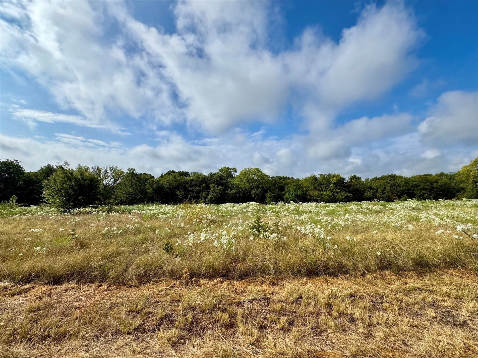 2.21 acres in Collin County - photo 3