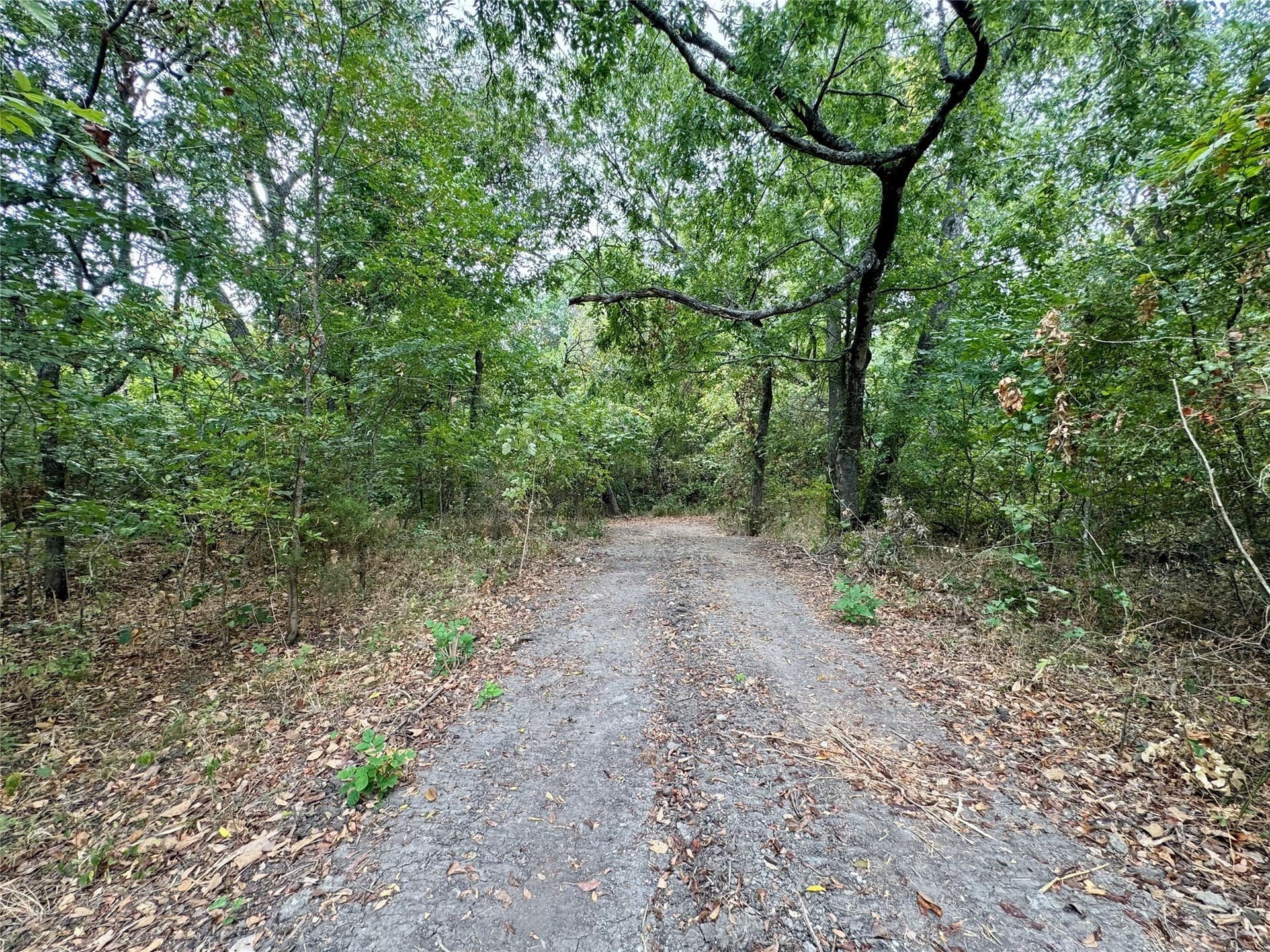 2.21 acres in Collin County - photo 16