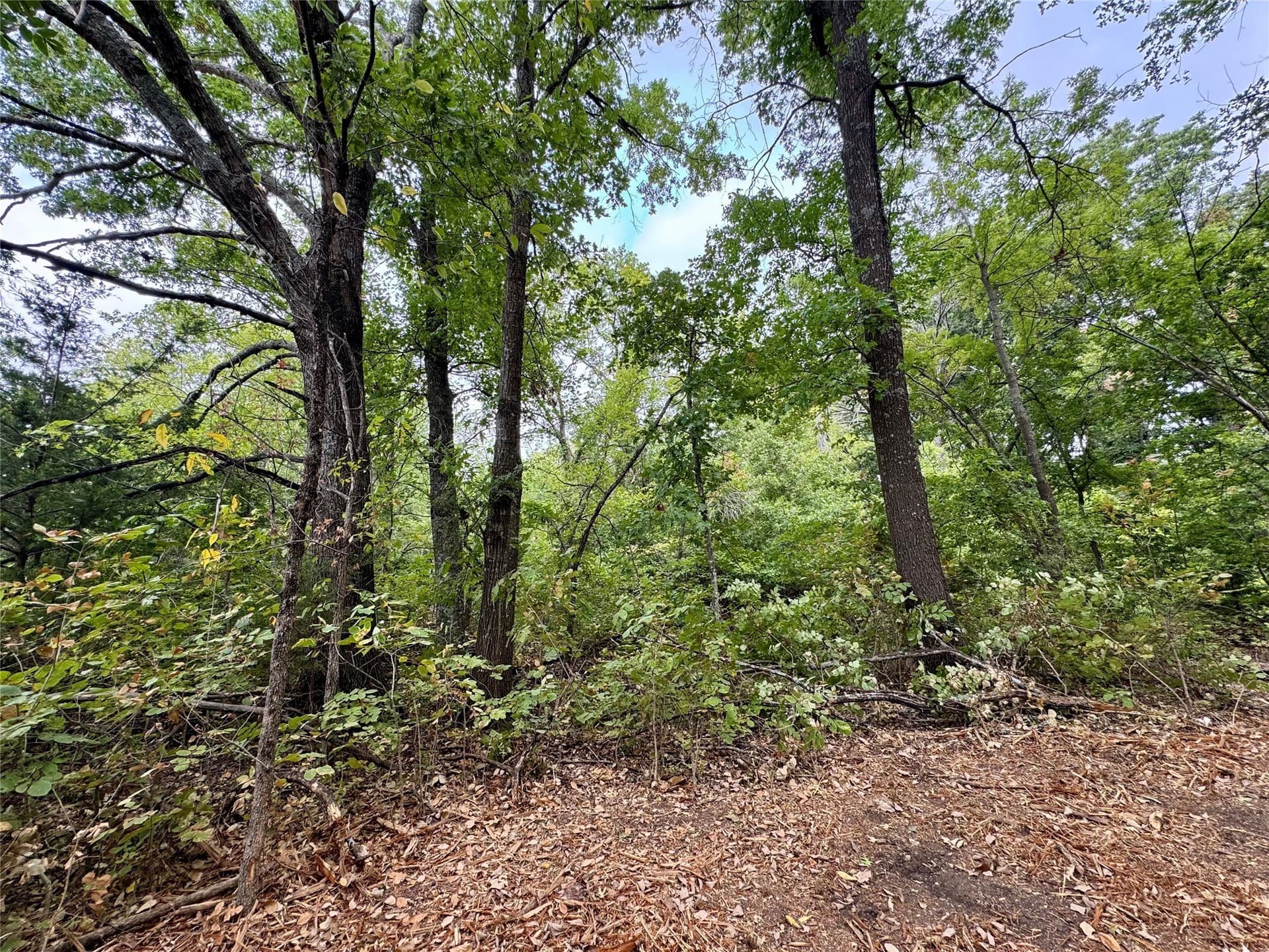 2.21 acres in Collin County - photo 15
