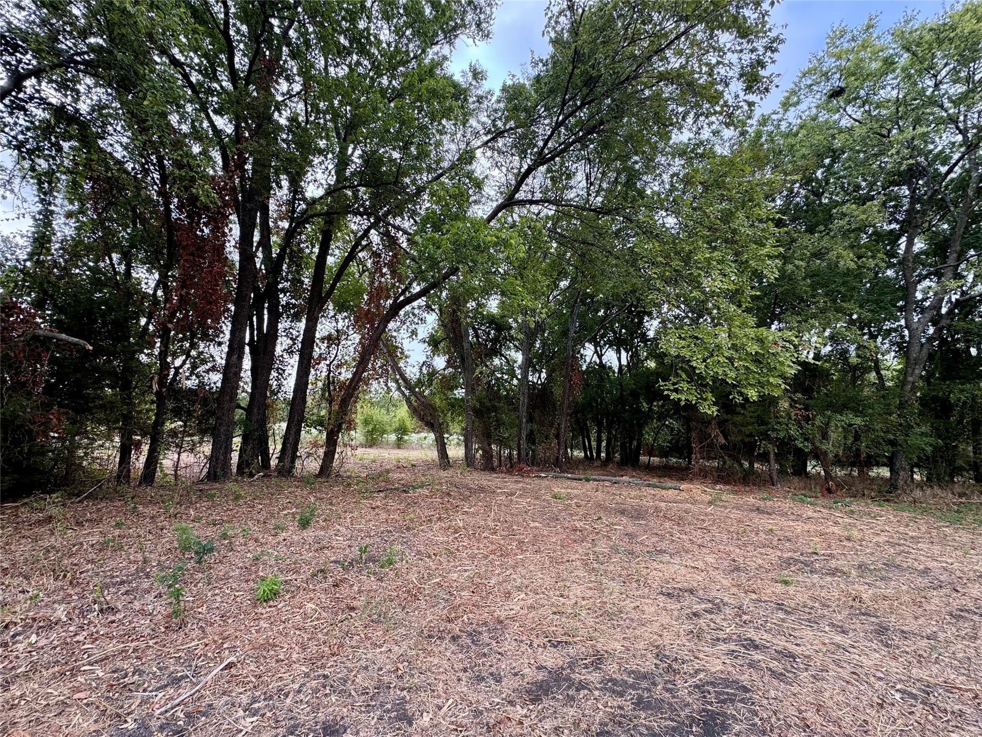 2.21 acres in Collin County - photo 10
