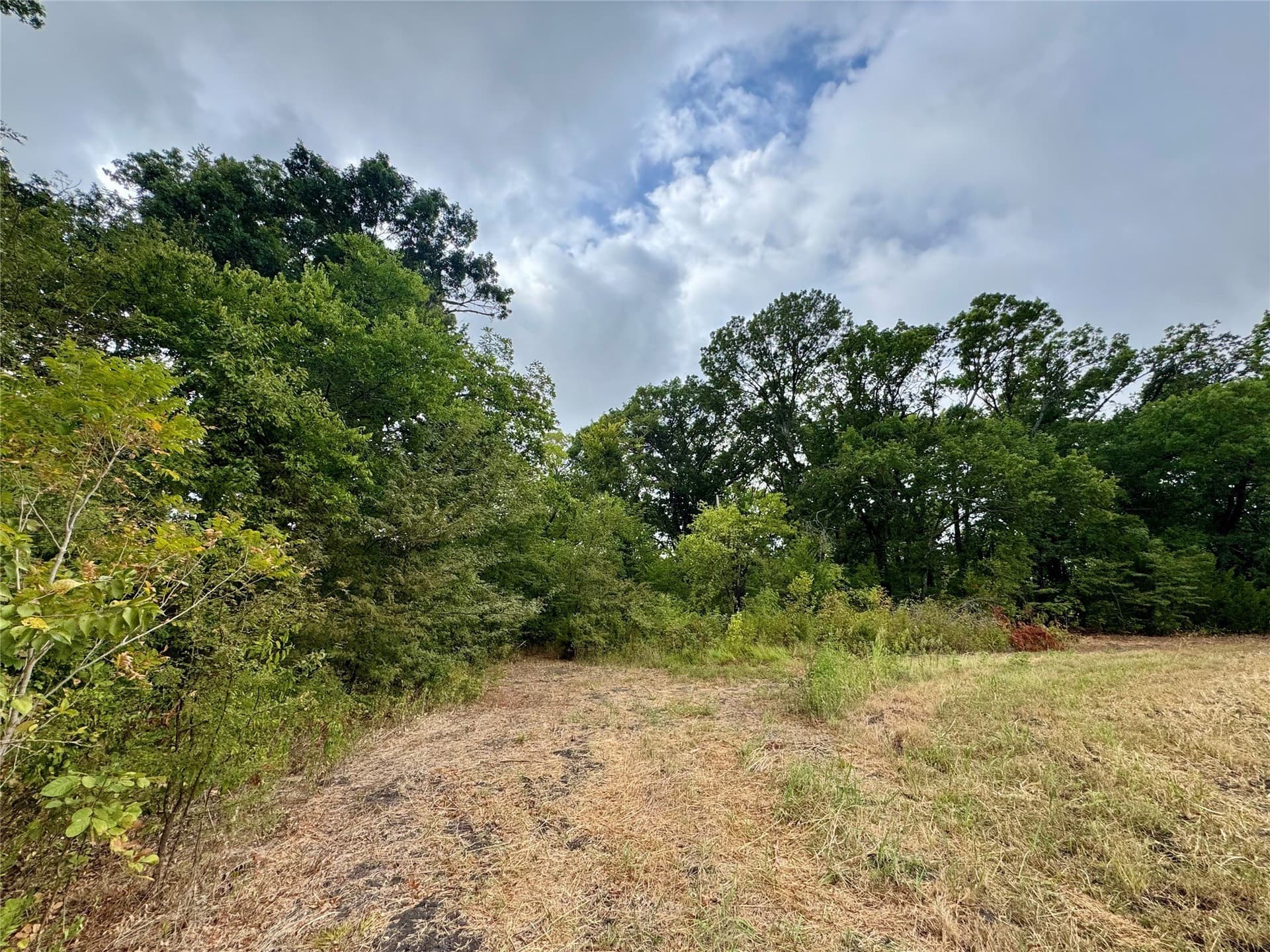 2.21 acres in Collin County - photo 18