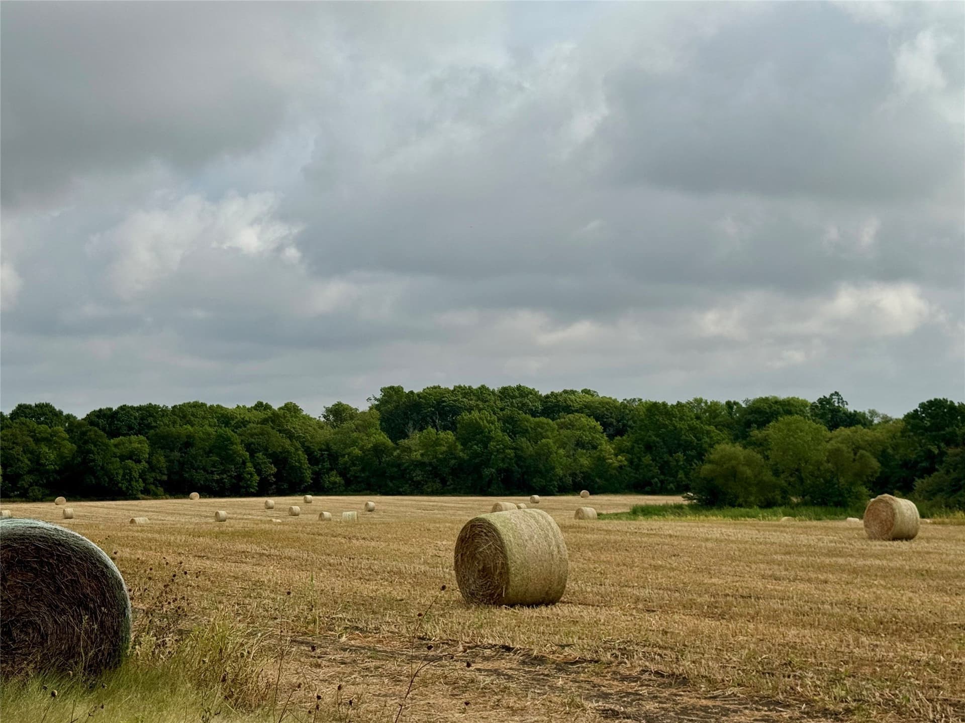 2.21 acres in Collin County - photo 12