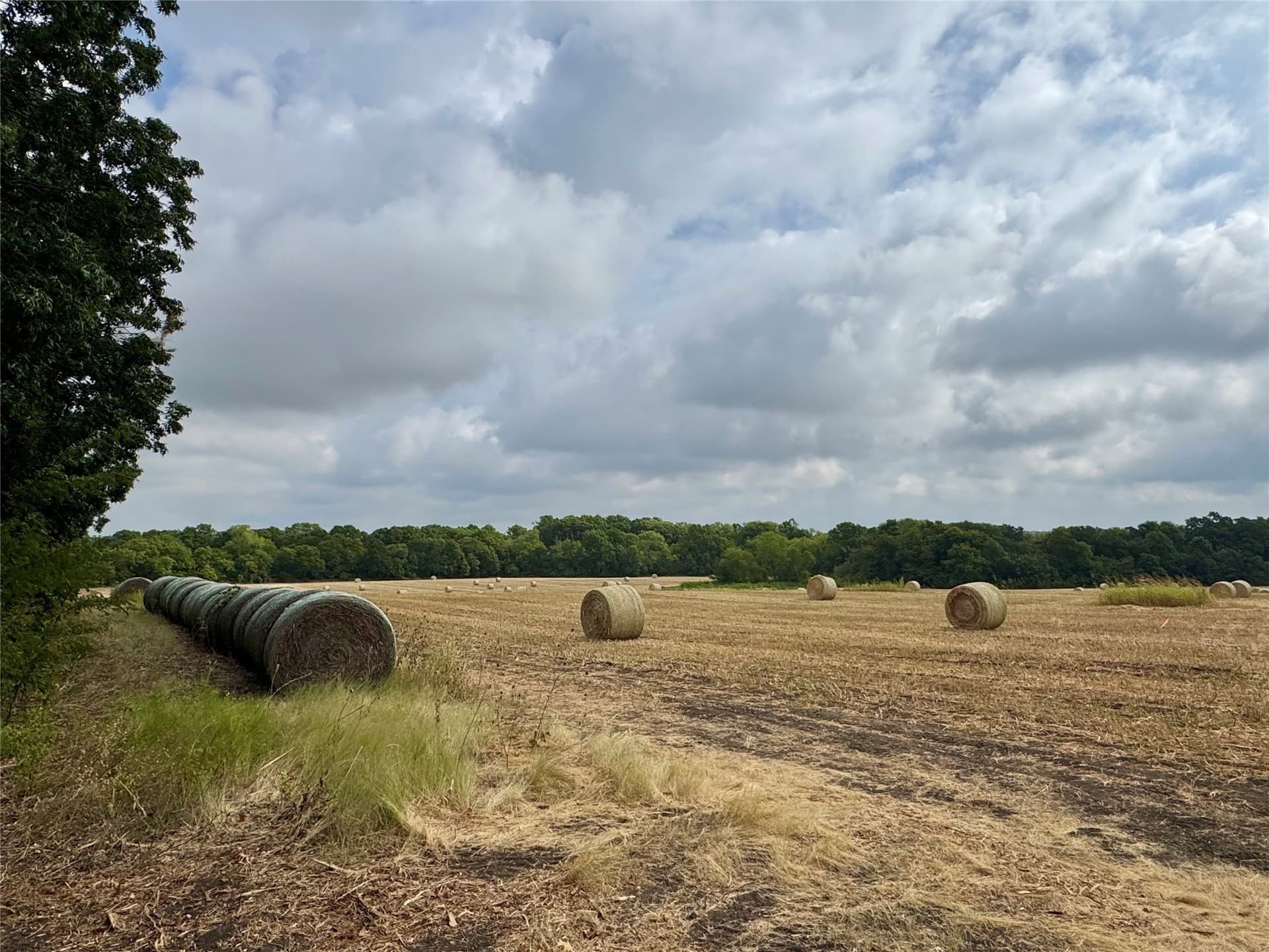 2.21 acres in Collin County - photo 9