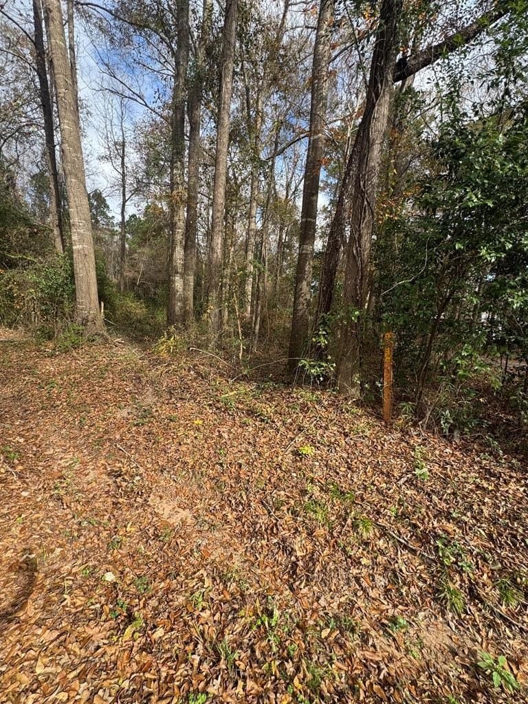 1 acres in Texas County featured view