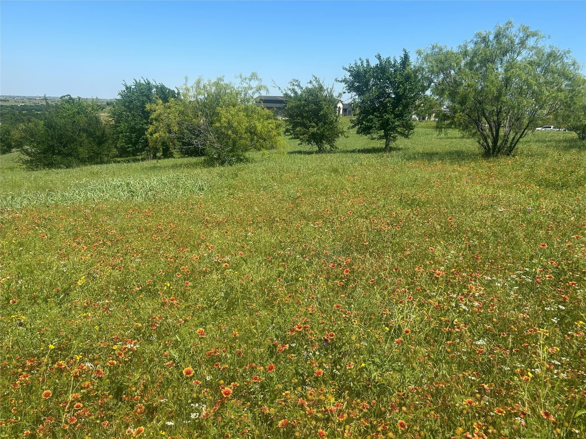 2.57 acres in Parker County - photo 8