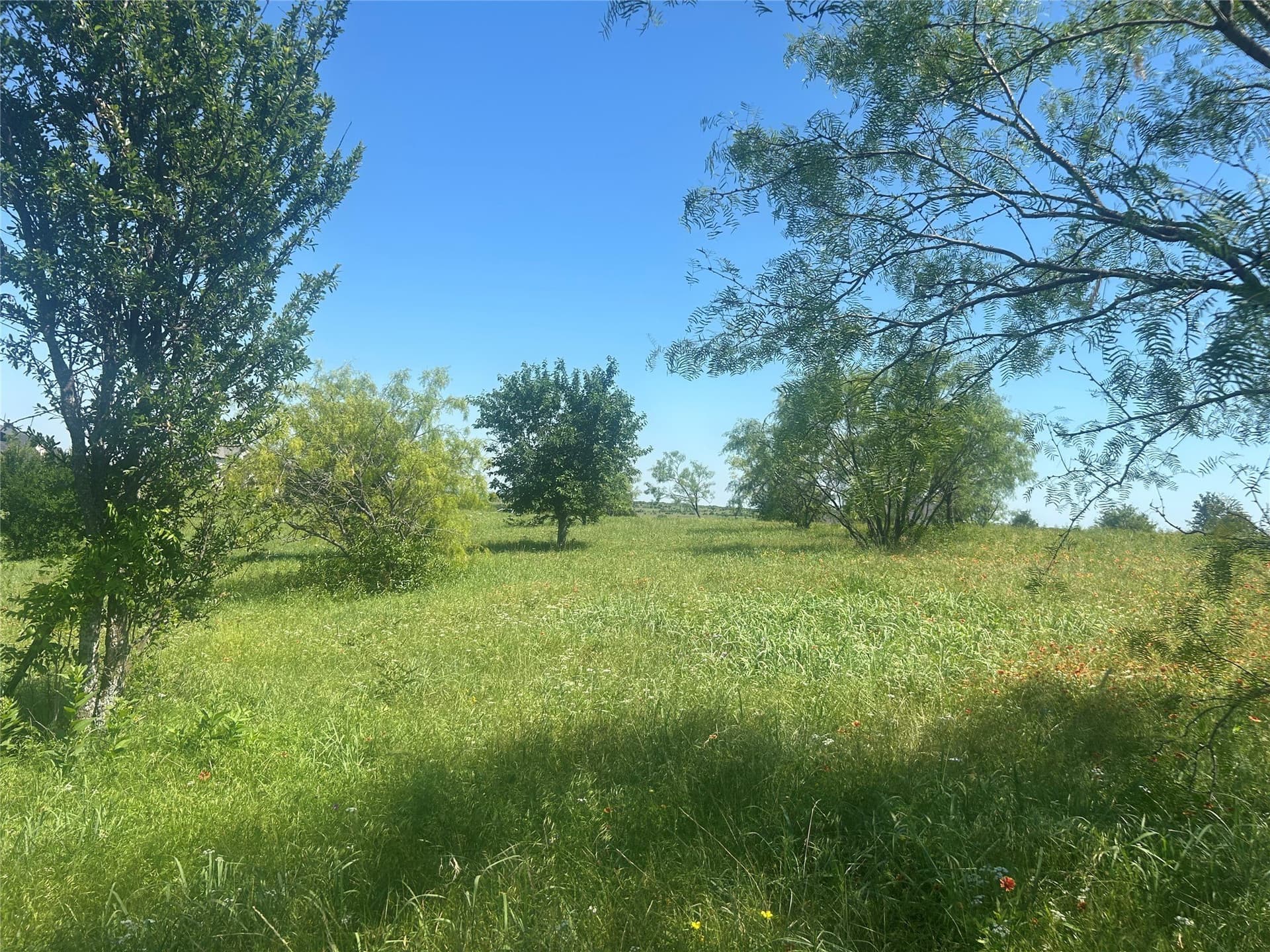 2.57 acres in Parker County - photo 10