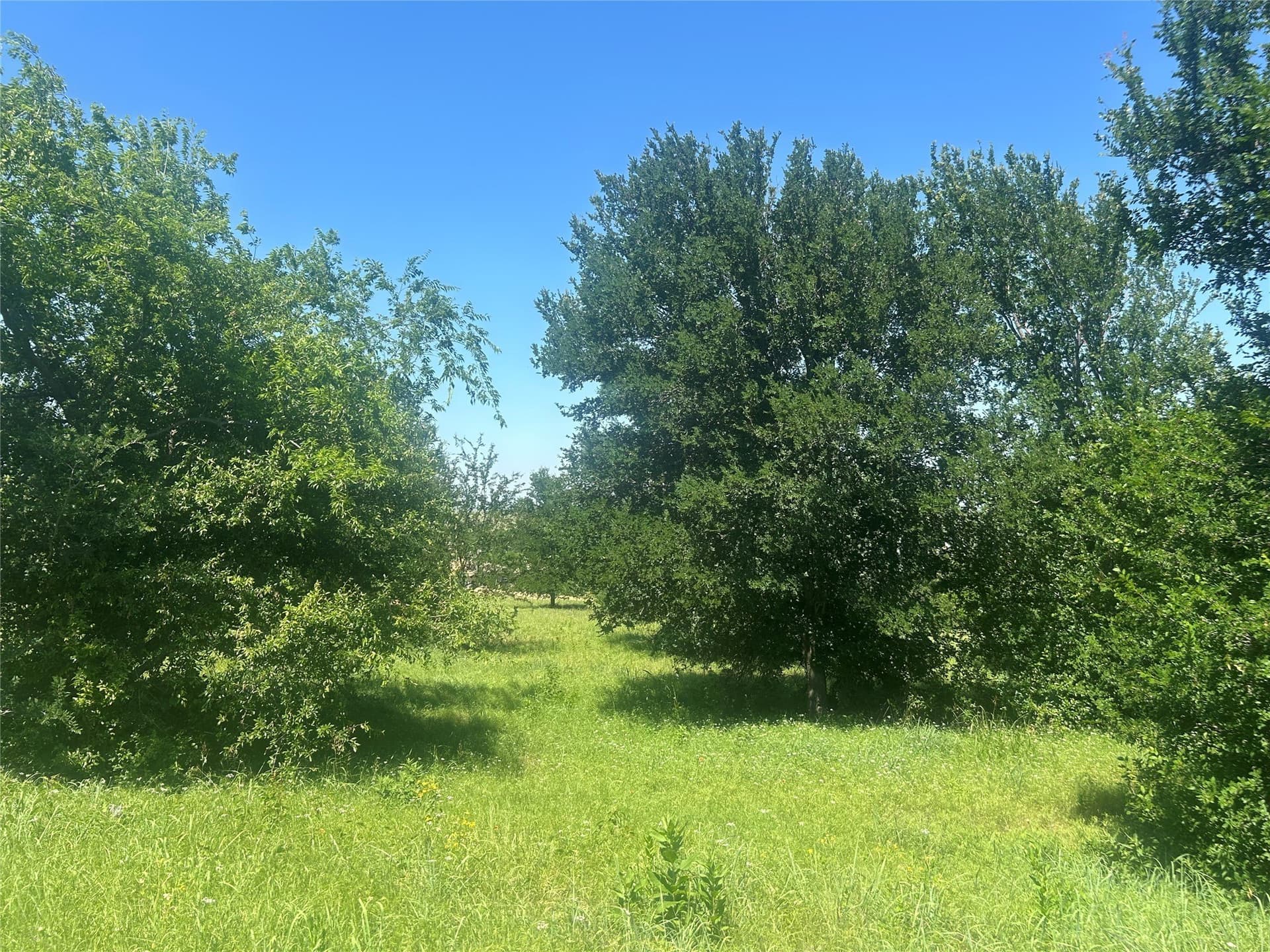 2.57 acres in Parker County - photo 14