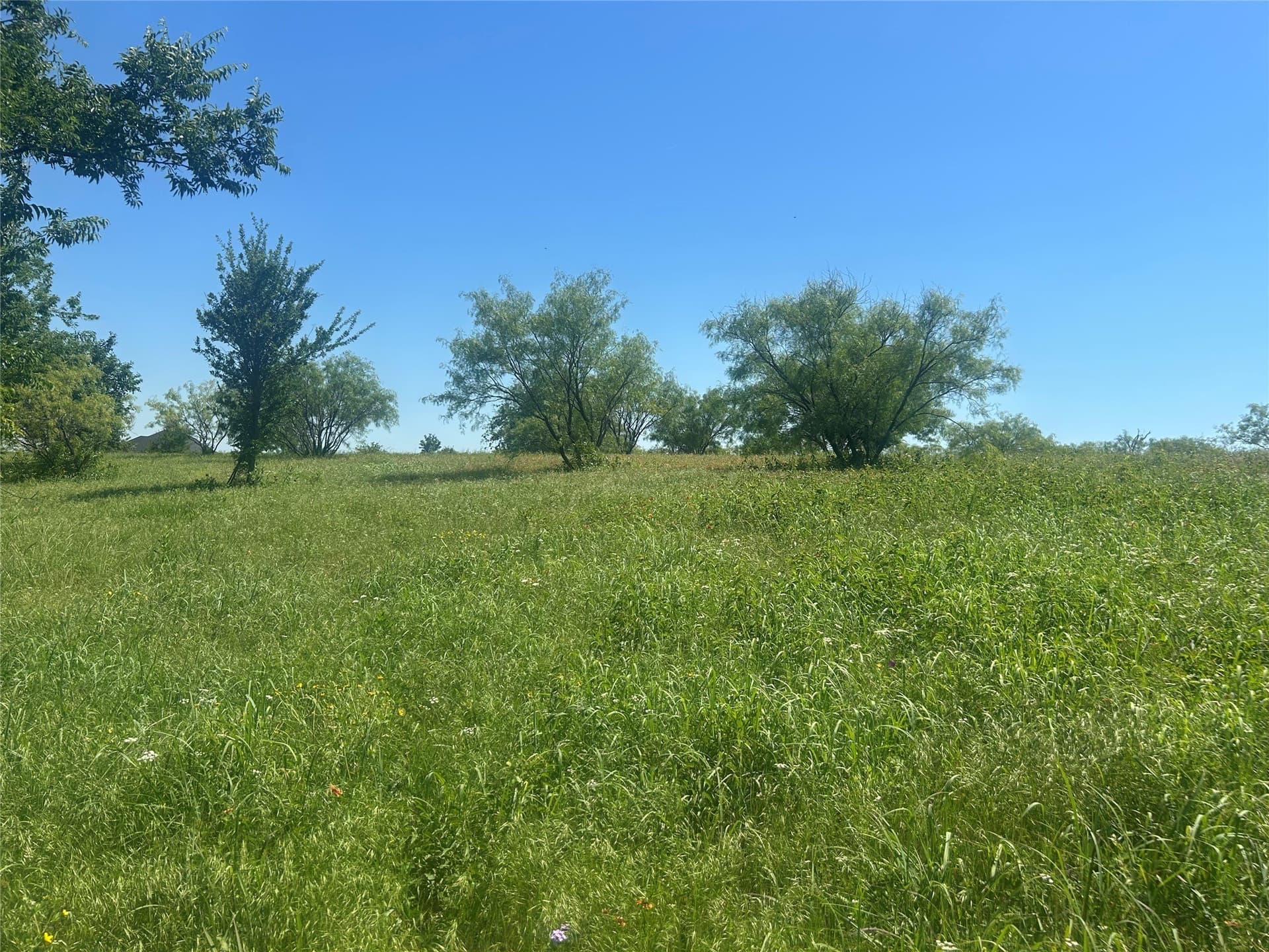 2.57 acres in Parker County - photo 9