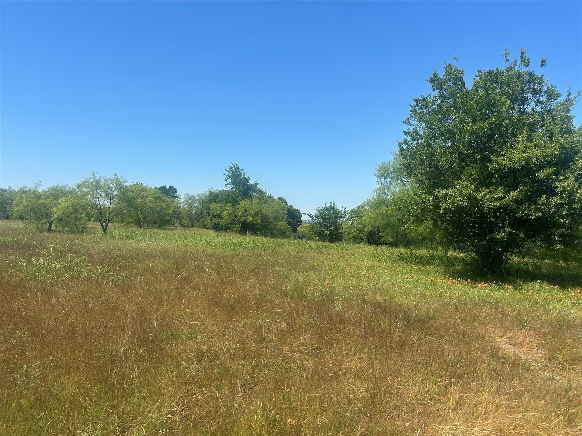 2.57 acres in Parker County - photo 4