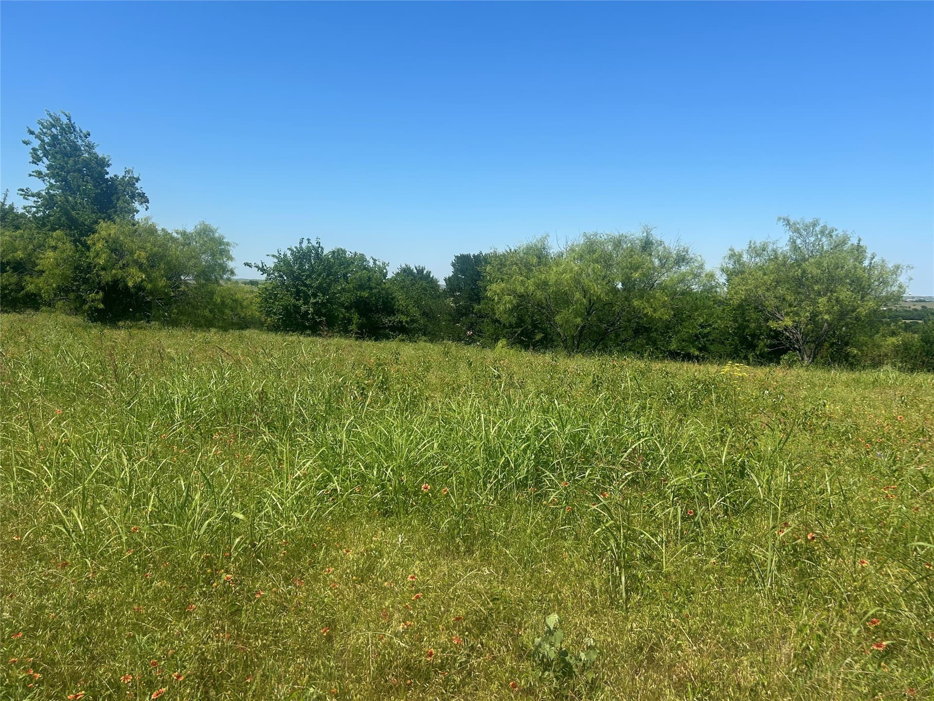 2.57 acres in Parker County - photo 19