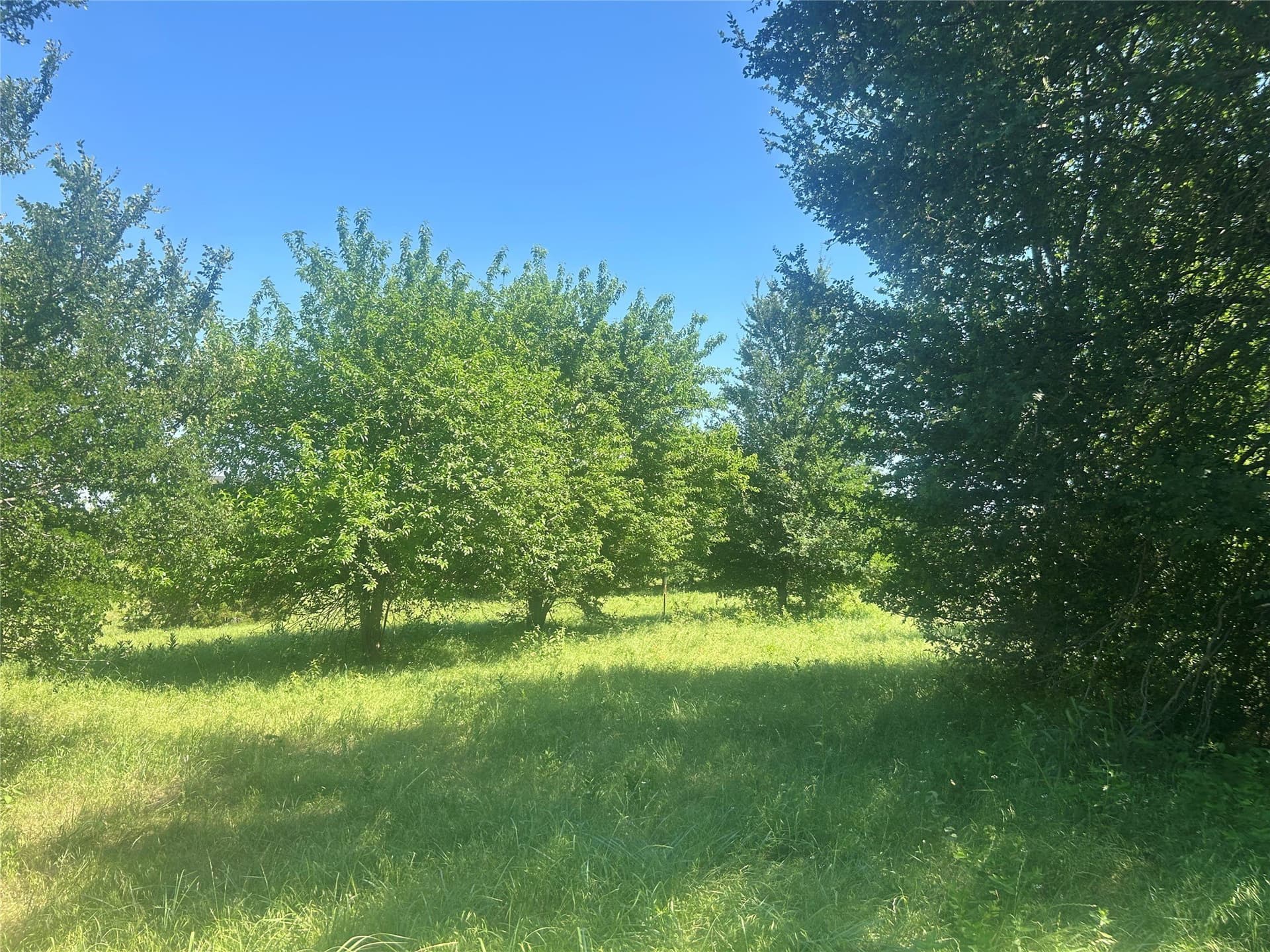 2.57 acres in Parker County - photo 12