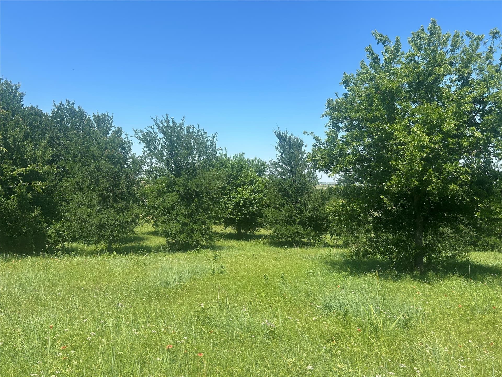 2.57 acres in Parker County - photo 13