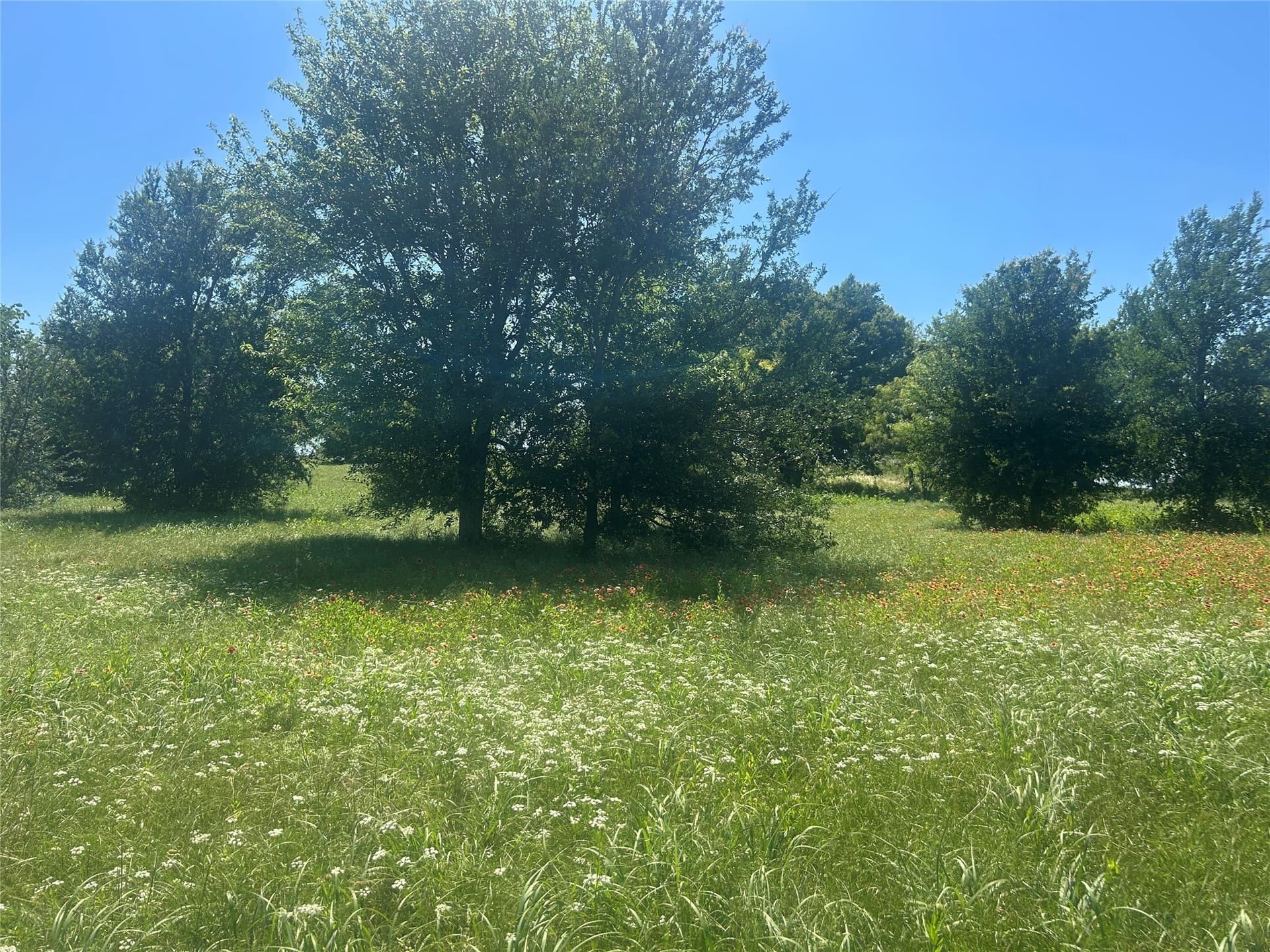 2.57 acres in Parker County - photo 15
