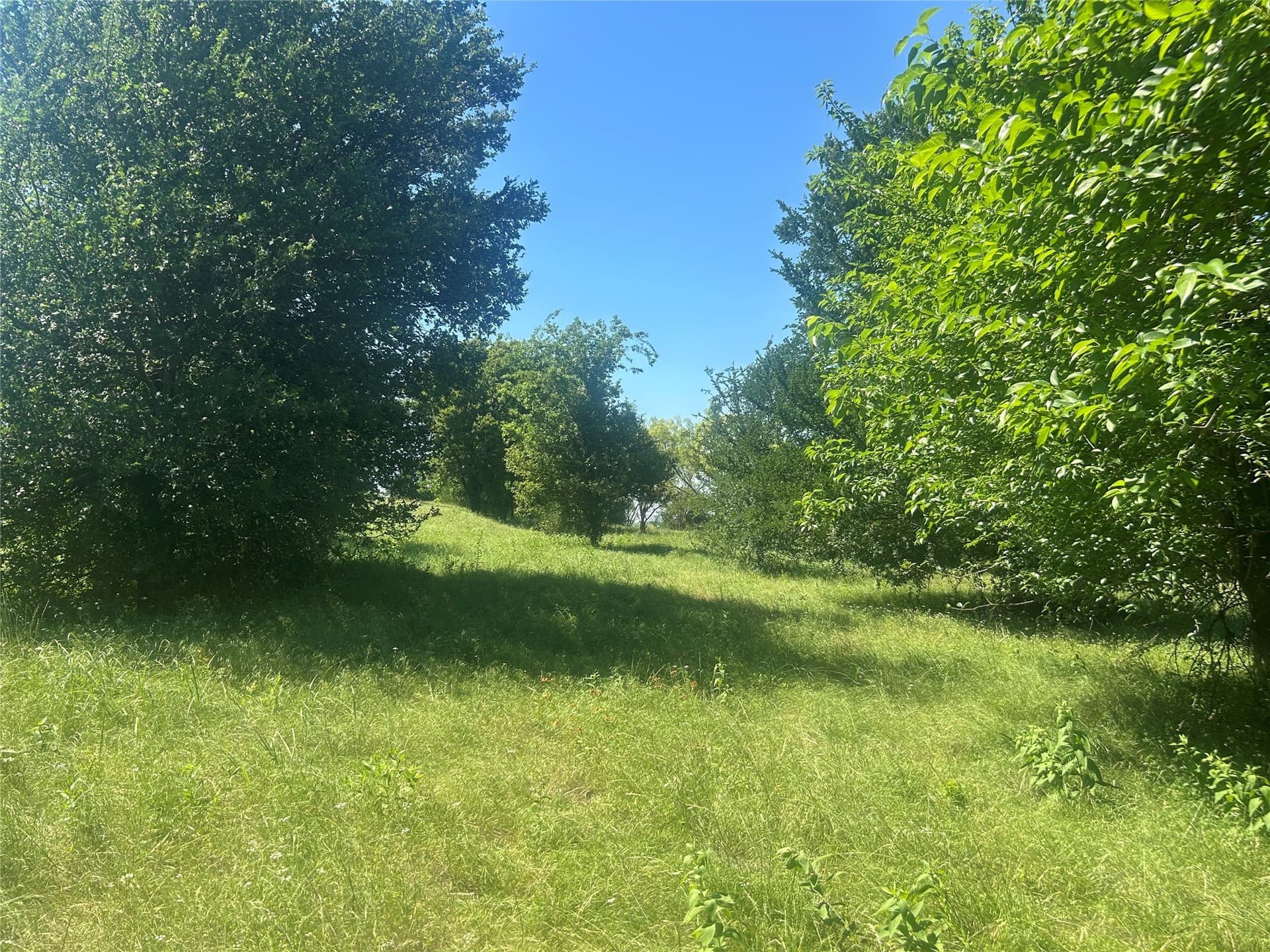 2.57 acres in Parker County - photo 25
