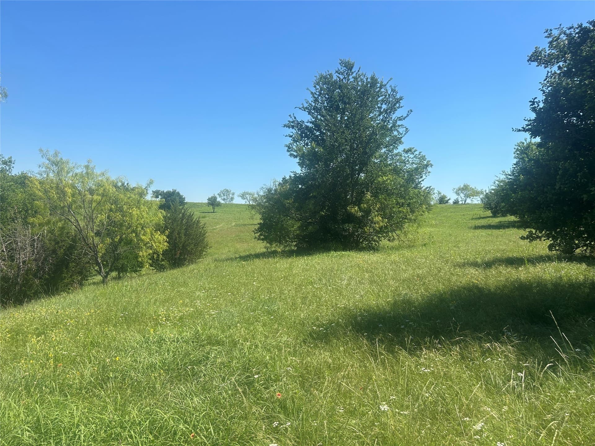 2.57 acres in Parker County - photo 11