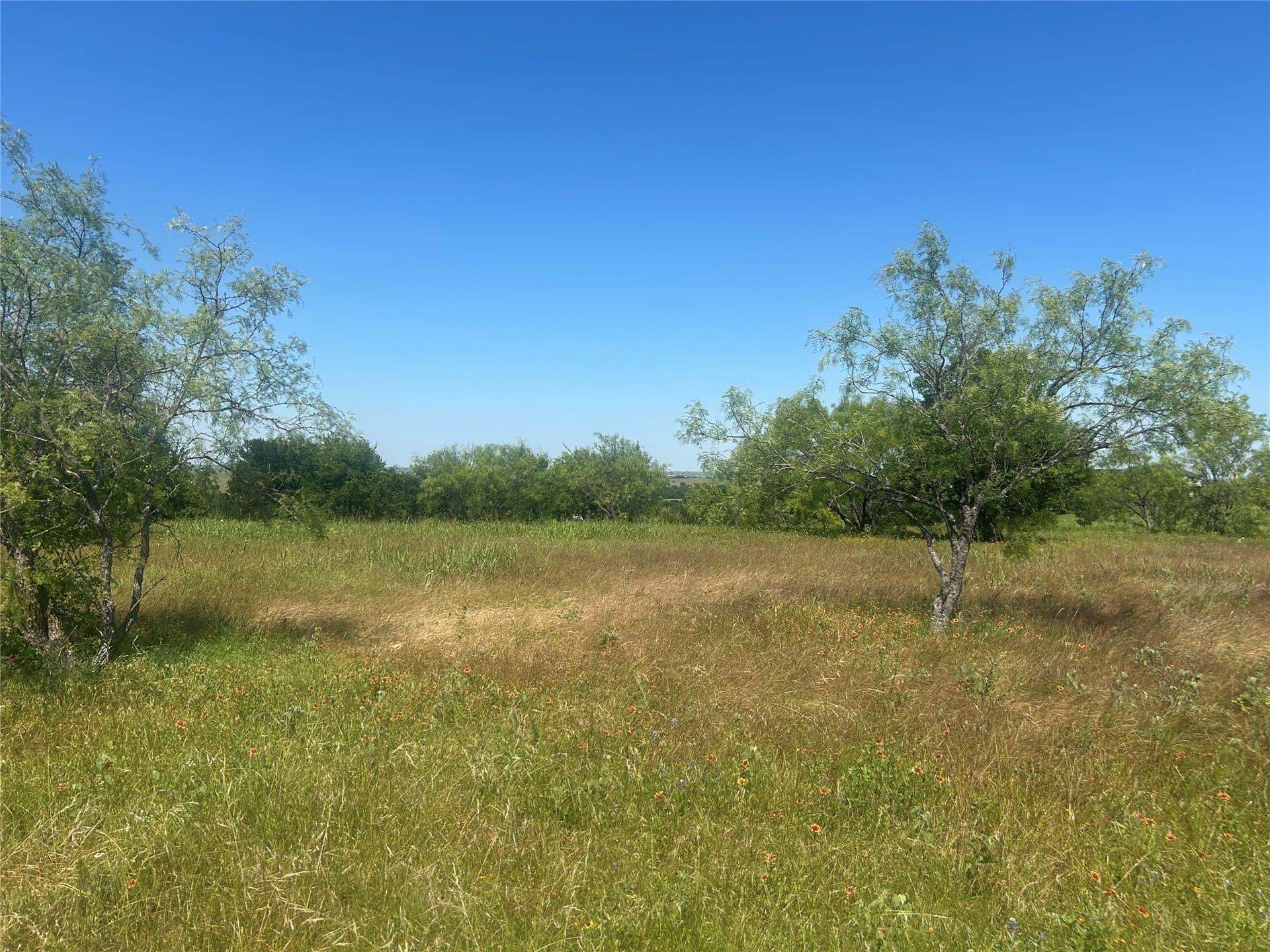 2.57 acres in Parker County - photo 7