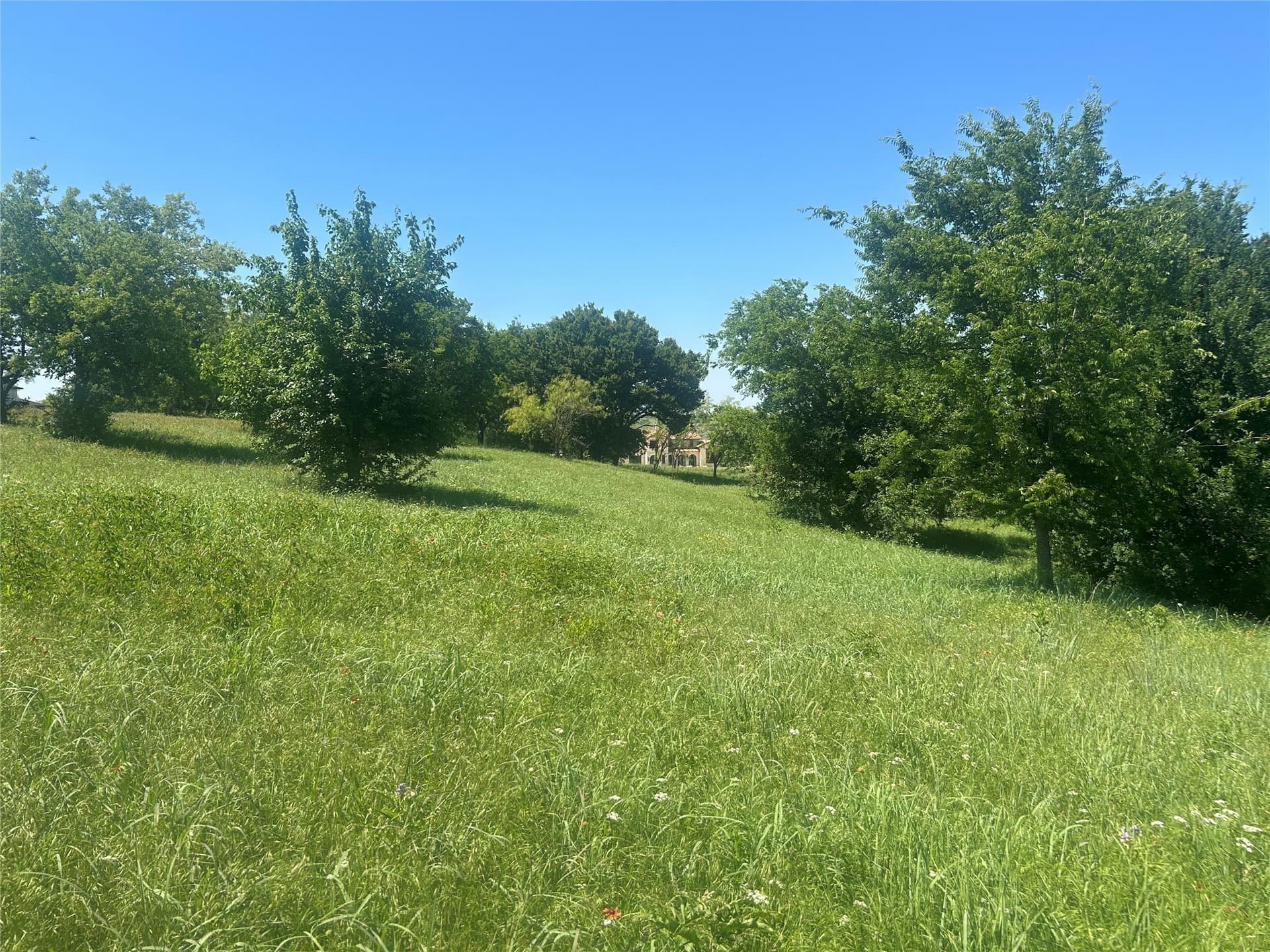 2.57 acres in Parker County - photo 20