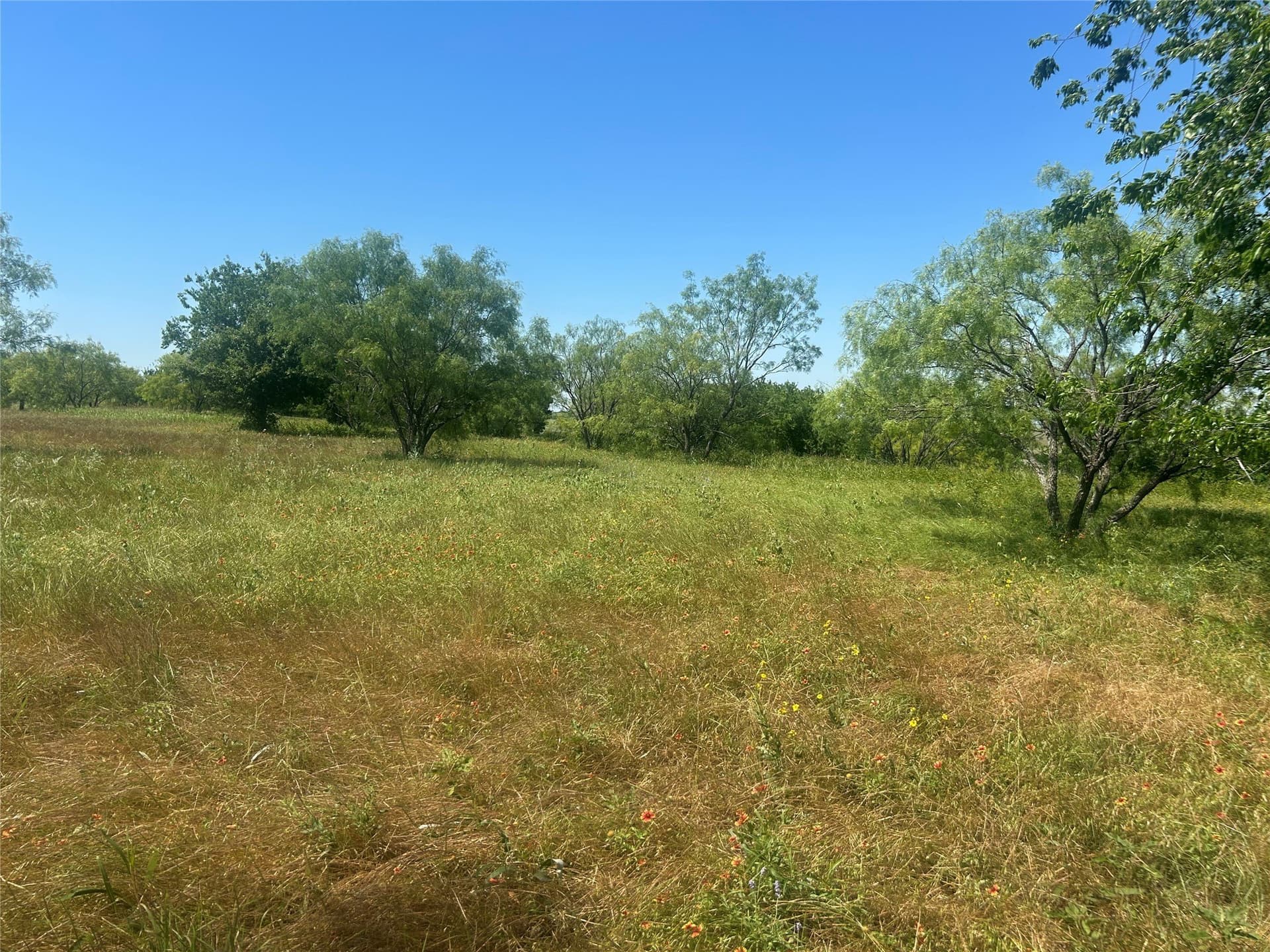 2.57 acres in Parker County - photo 5