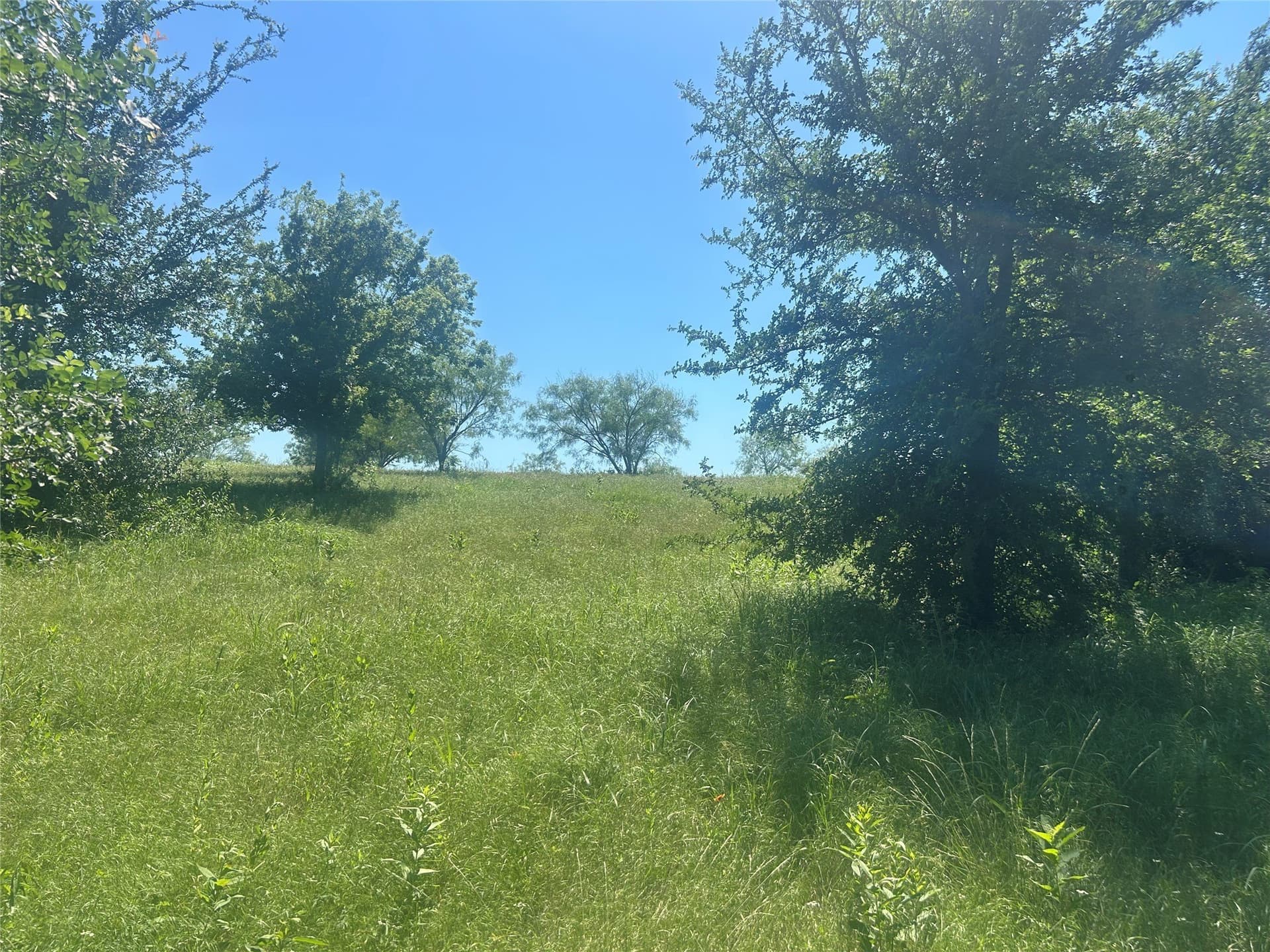 2.57 acres in Parker County - photo 23
