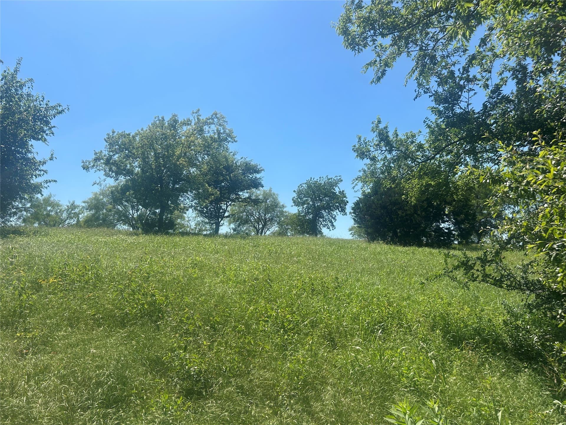 2.57 acres in Parker County - photo 22