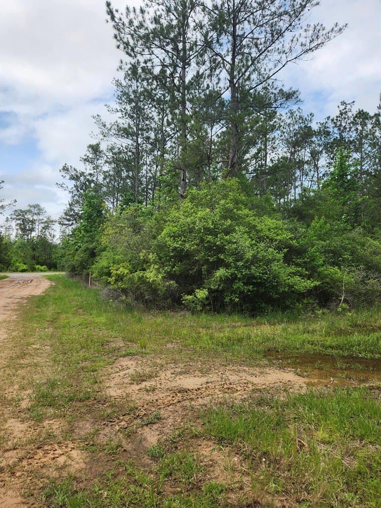 38.52 acres in Texas County - photo 17
