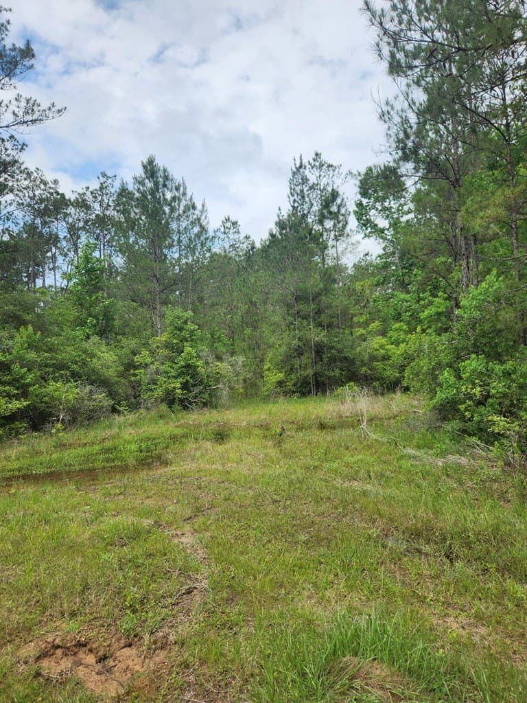 38.52 acres in Texas County - photo 16