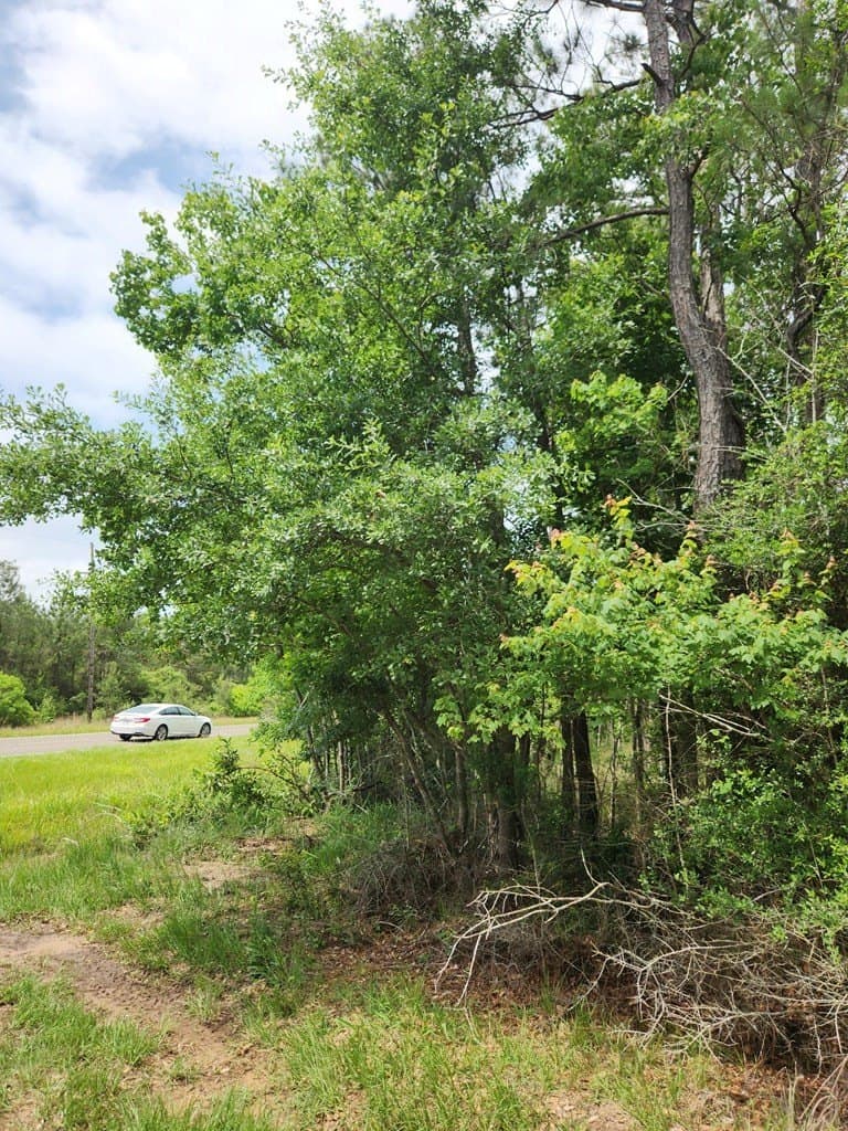 38.52 acres in Texas County - photo 19
