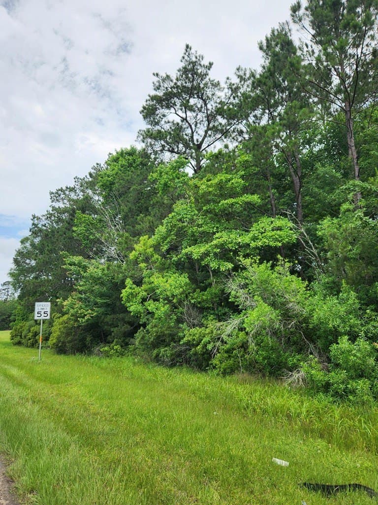 38.52 acres in Texas County - photo 24