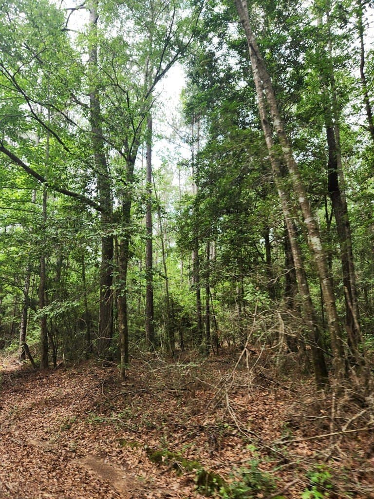 38.52 acres in Texas County - photo 9
