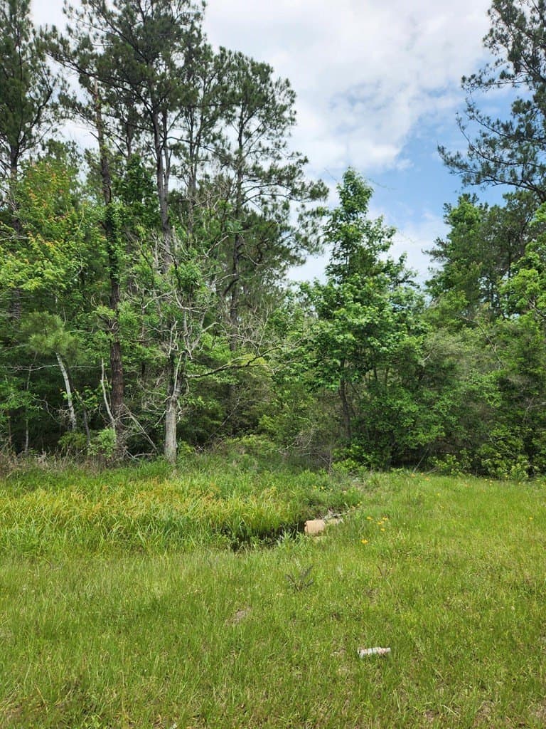 38.52 acres in Texas County - photo 23
