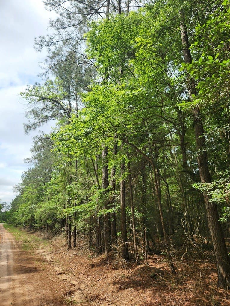 38.52 acres in Texas County - photo 10