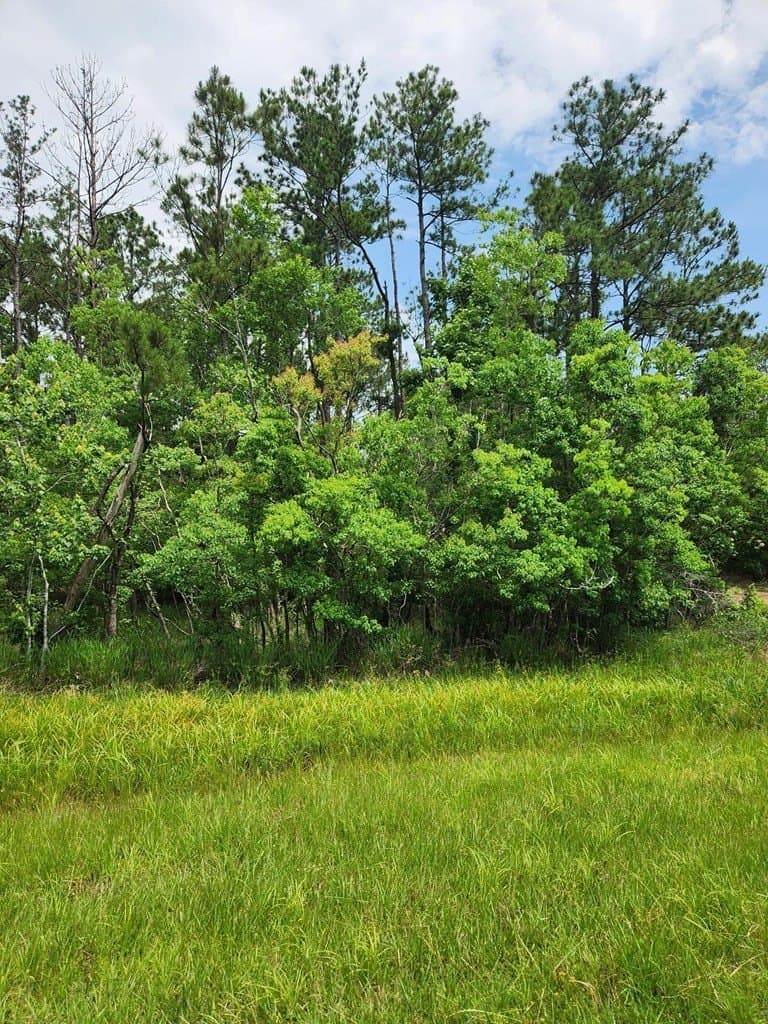 38.52 acres in Texas County - photo 22