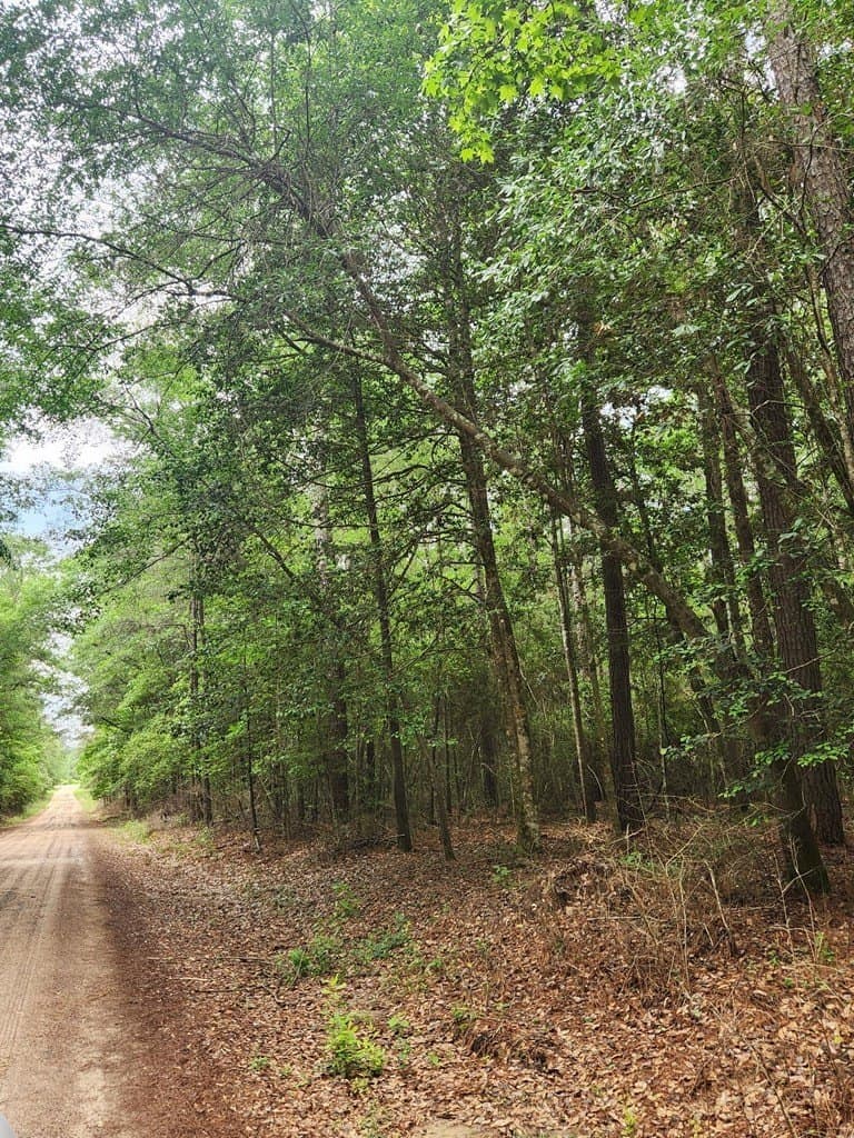 38.52 acres in Texas County - photo 7