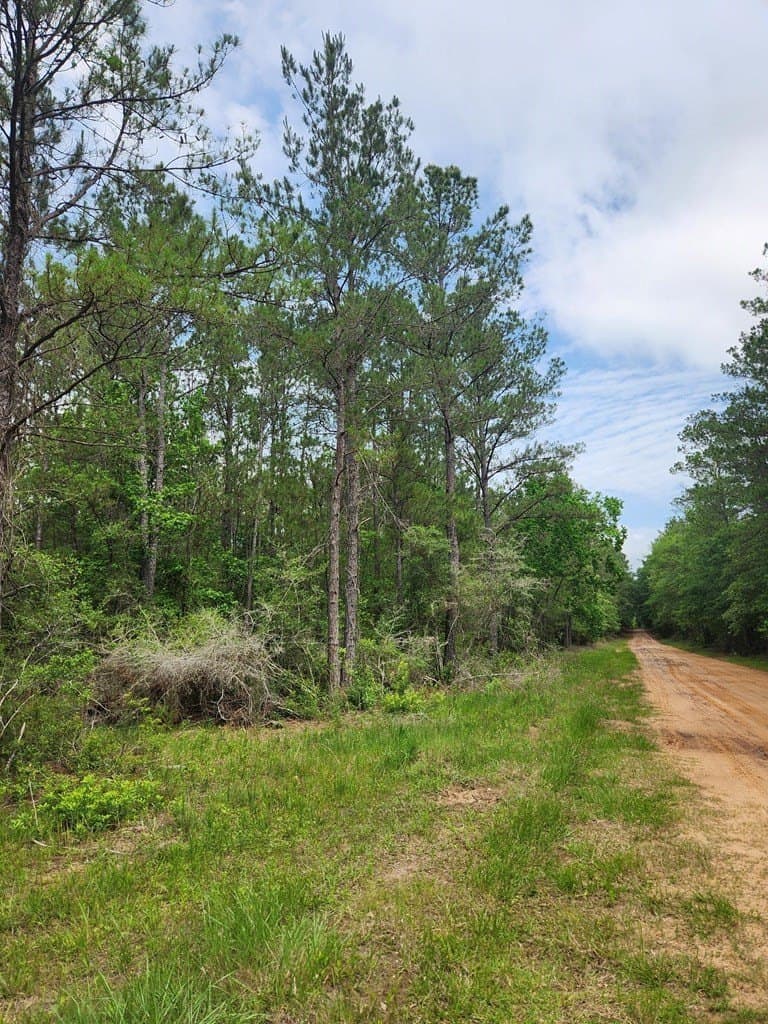 38.52 acres in Texas County - photo 18