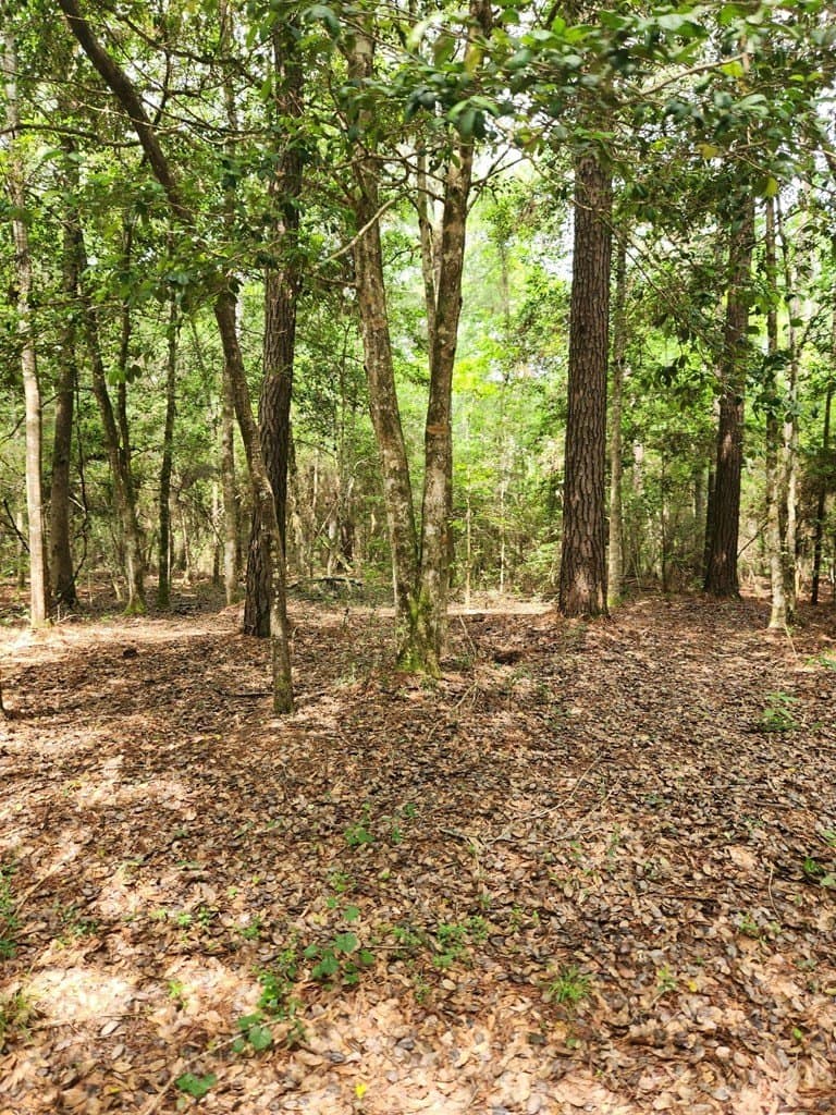 38.52 acres in Texas County - photo 8