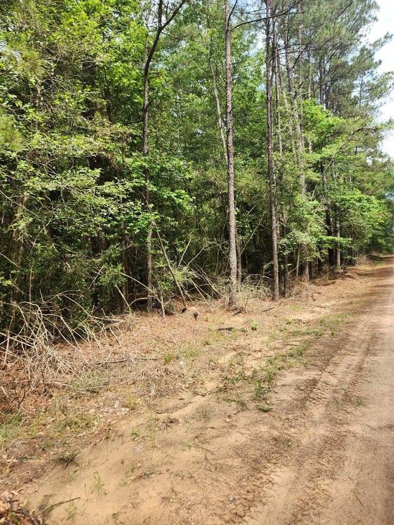 38.52 acres in Texas County - photo 11