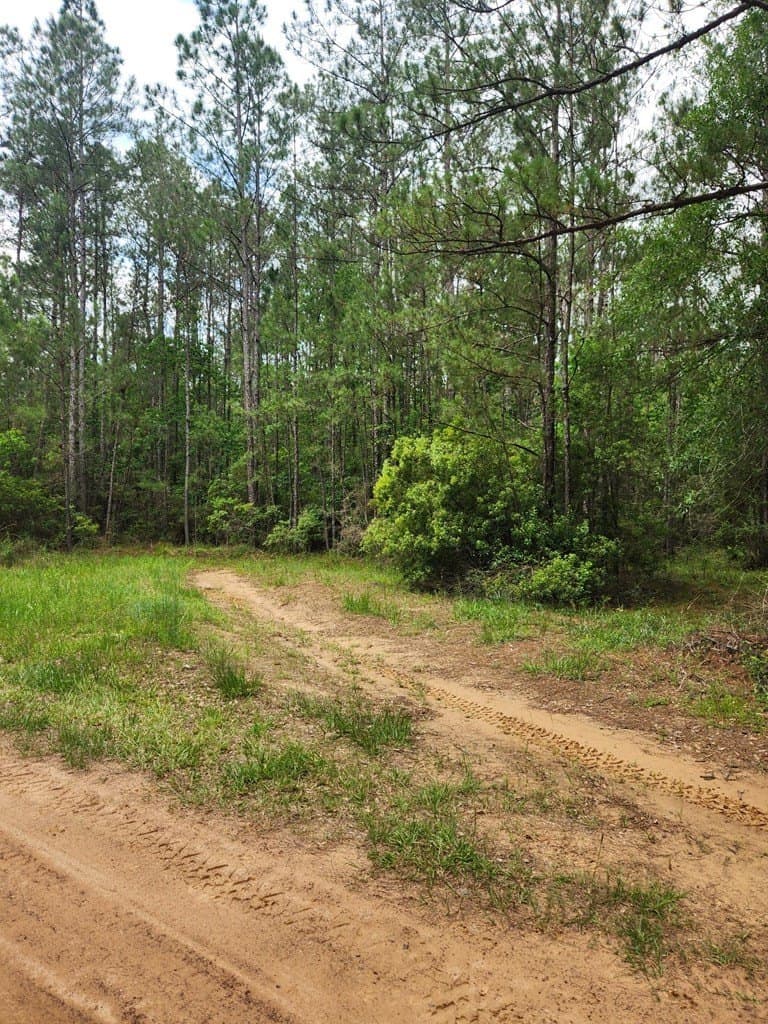 38.52 acres in Texas County - photo 13