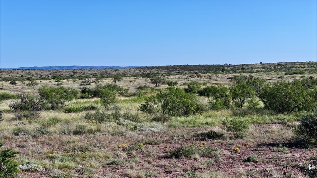12.44 acres in Brewster County featured view
