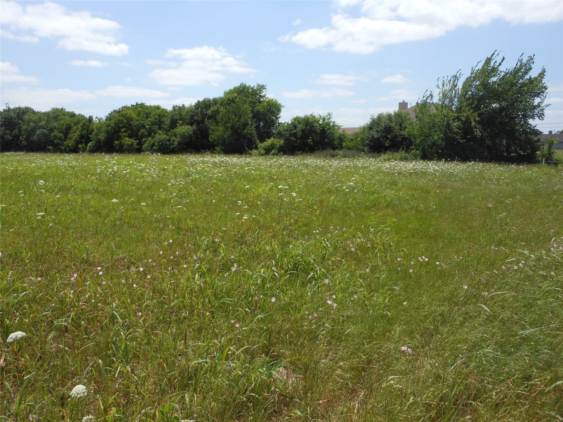 2.09 acres in Collin County gallery image 2