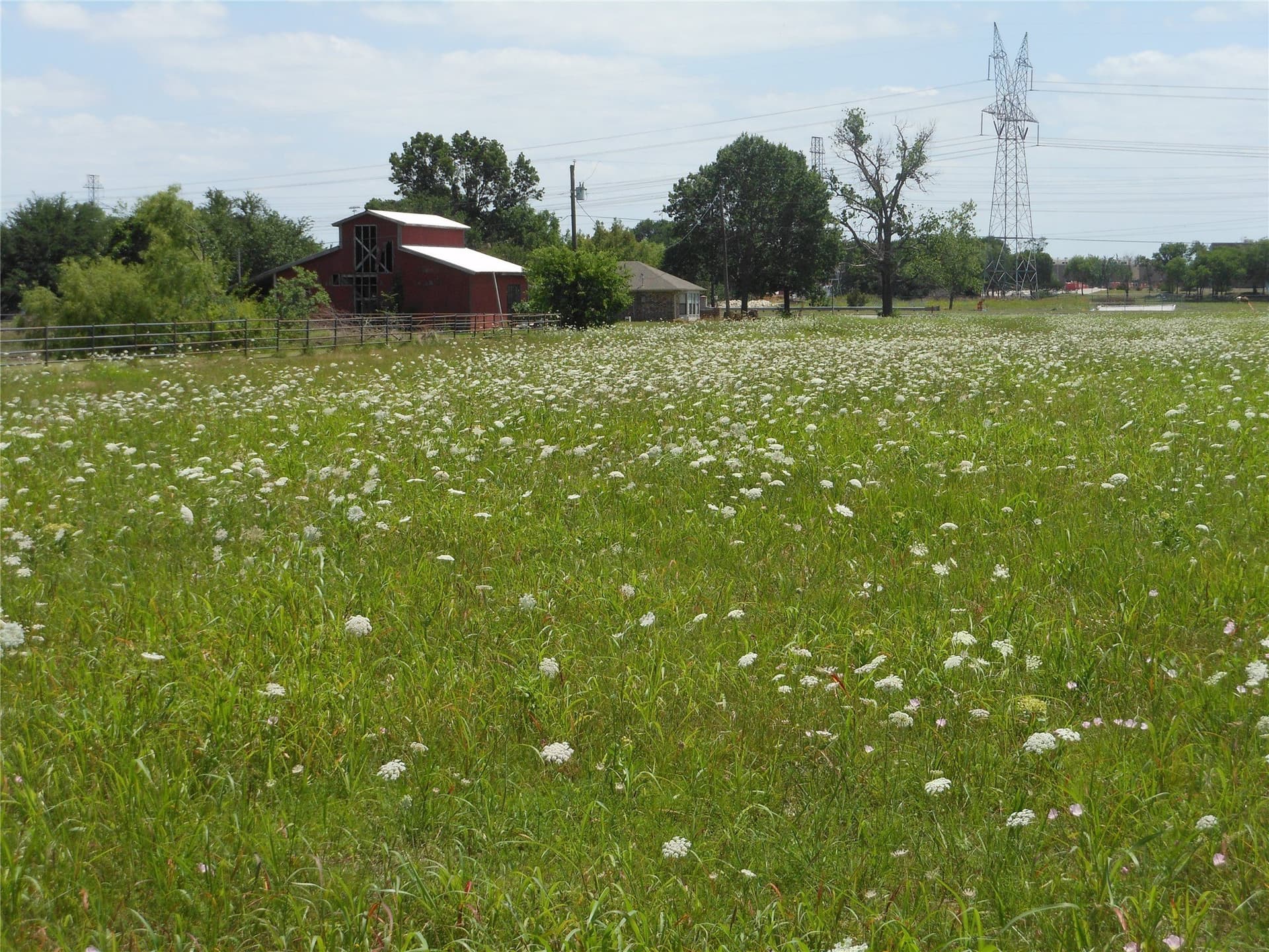 2.09 acres in Collin County gallery image 3