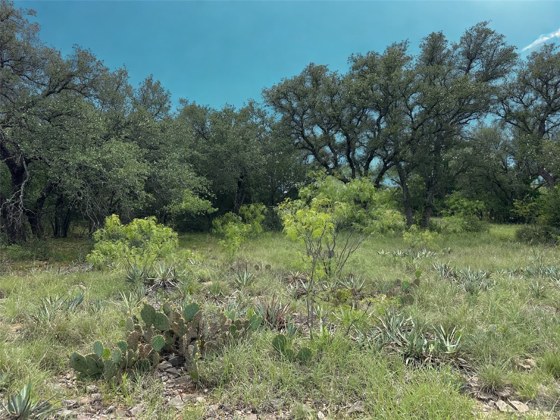 0.3 acres in Brown County - photo 9