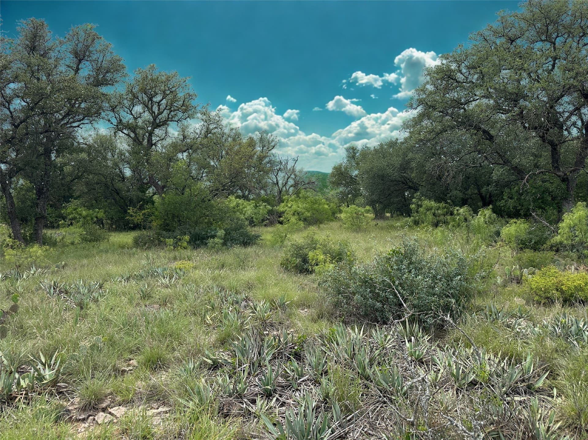 0.3 acres in Brown County - photo 10