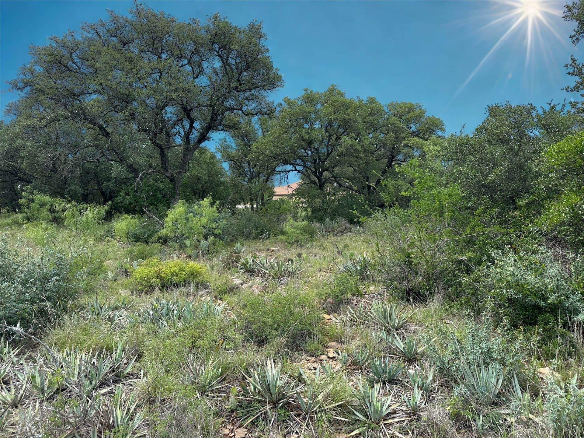 0.3 acres in Brown County - photo 8