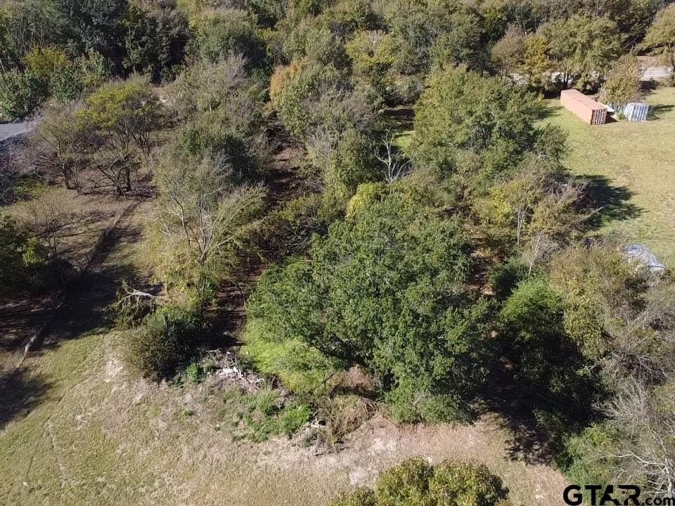 0.7 acres in Wood County - photo 13