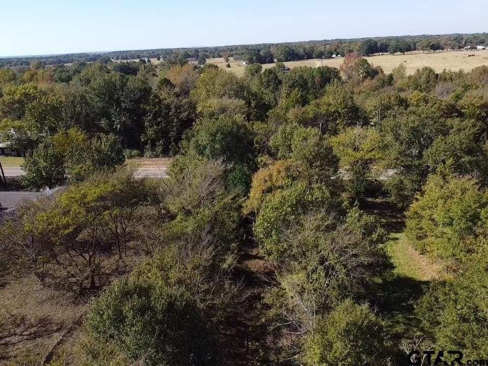 0.7 acres in Wood County - photo 15