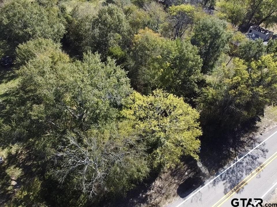 0.7 acres in Wood County - photo 6
