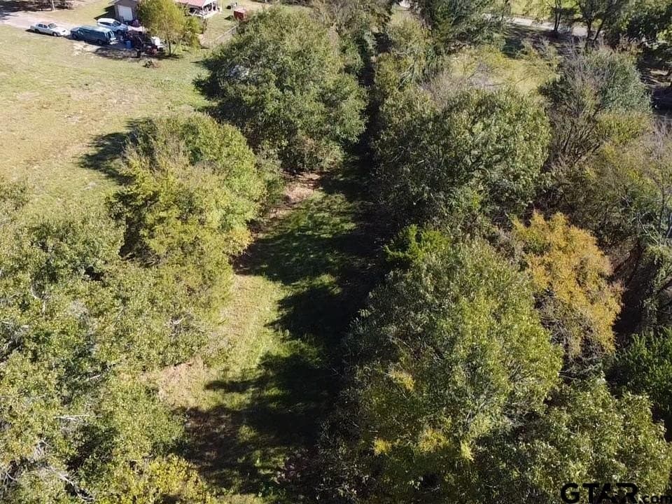 0.7 acres in Wood County - photo 12
