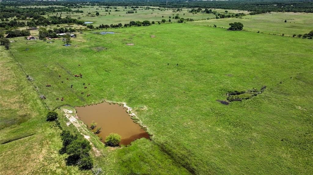 59.75 acres in Montague County gallery image 4