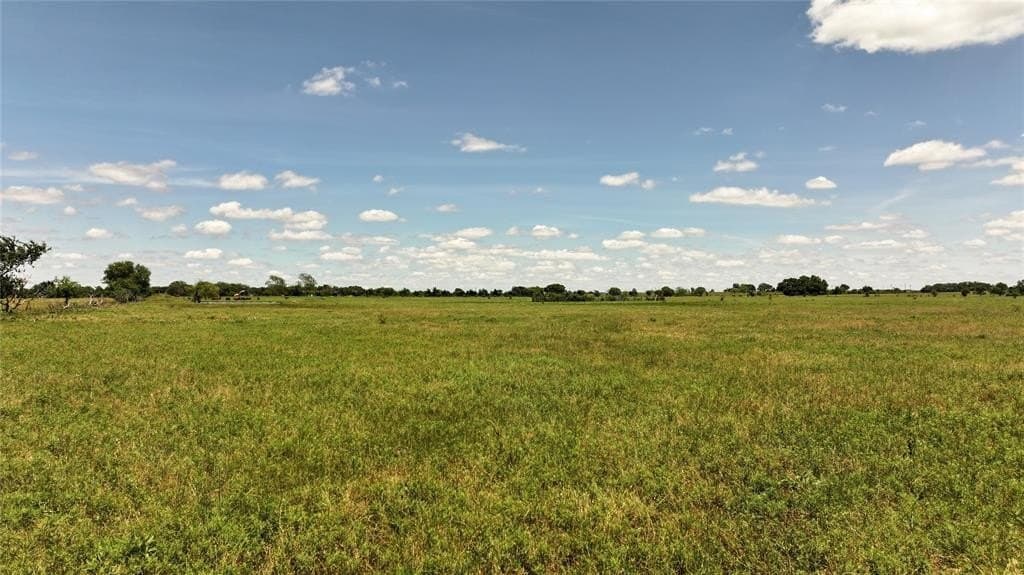 59.75 acres in Montague County gallery image 3