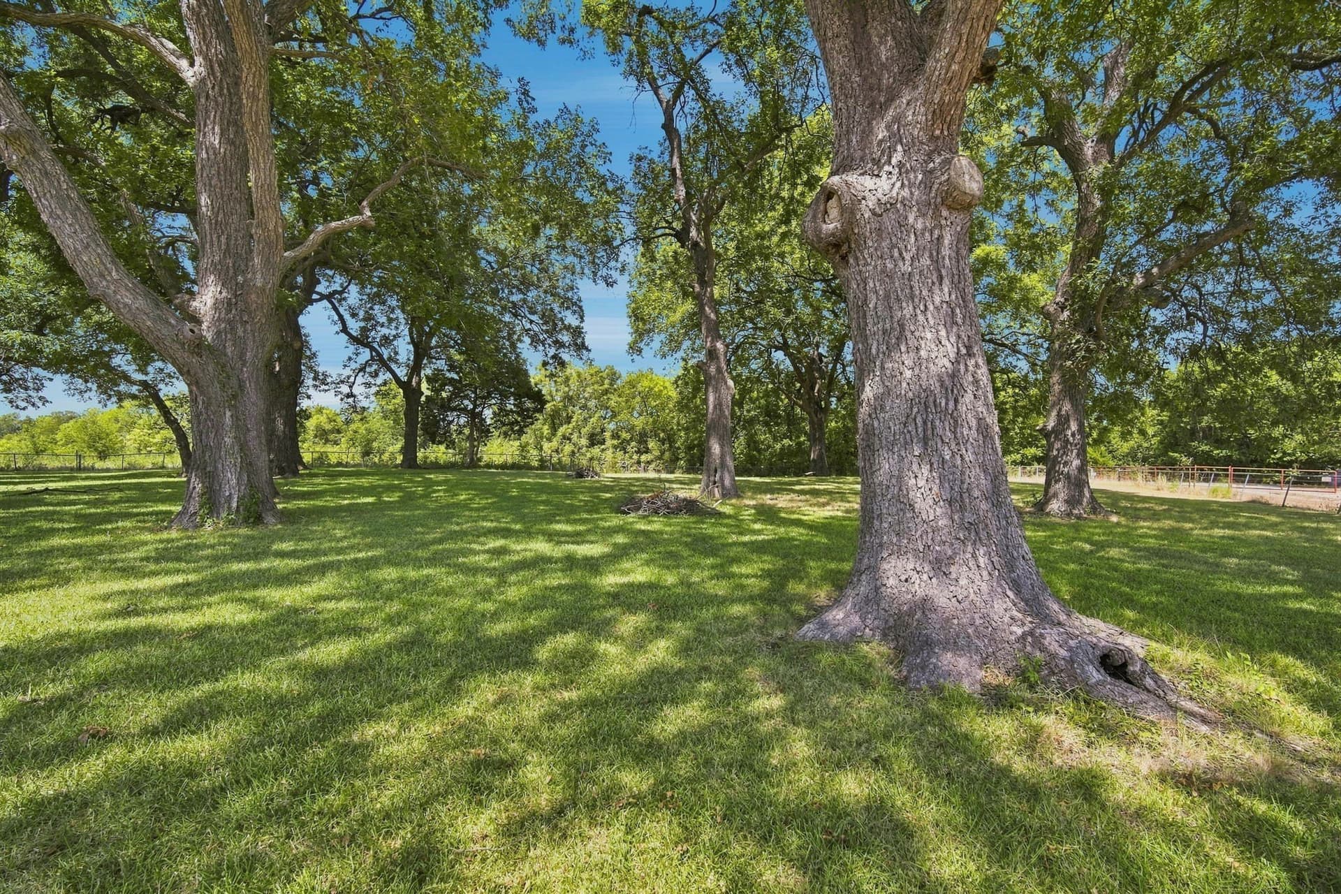 82.62 acres in Ellis County - photo 5